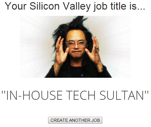 Silicone Valley Job Titles 